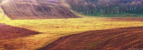 Красота пейзажных линий