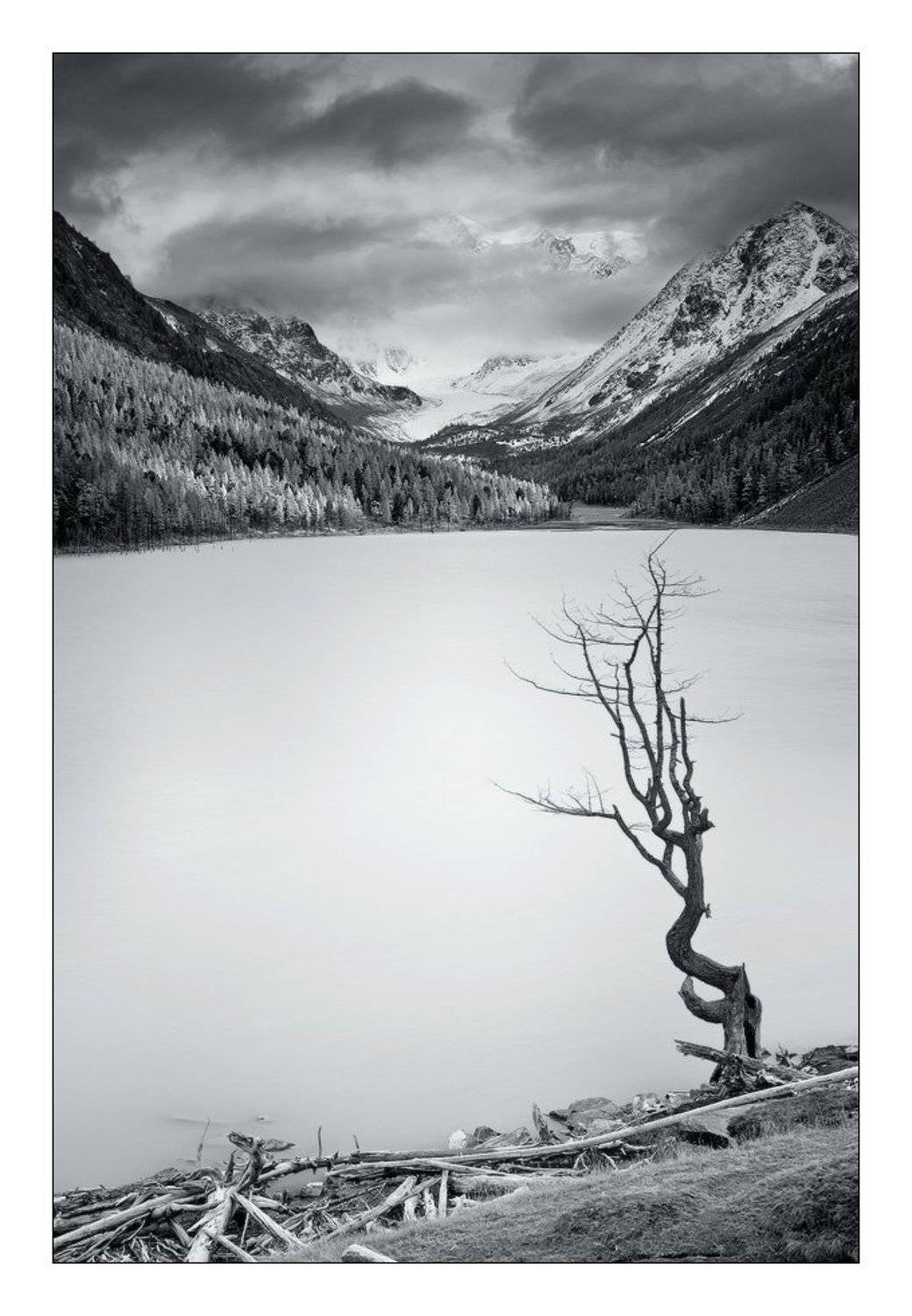 алтай, маашей, мажой, Александр Ермолицкий