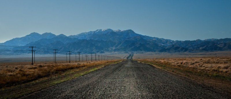 алтын-эмель.национальный.парк.заповедник.казахстан.поющий, бархан.песок.растения.красная, книга.дюна.саксаул.горы, катутау.басши.меловые, горы, актау.красная, глина. Алтын-Емел фото превью