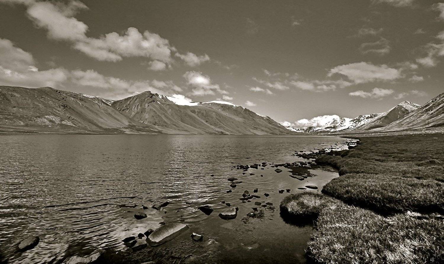 , Vasylevskyy Vitaliy