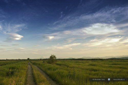 Луговая дорога