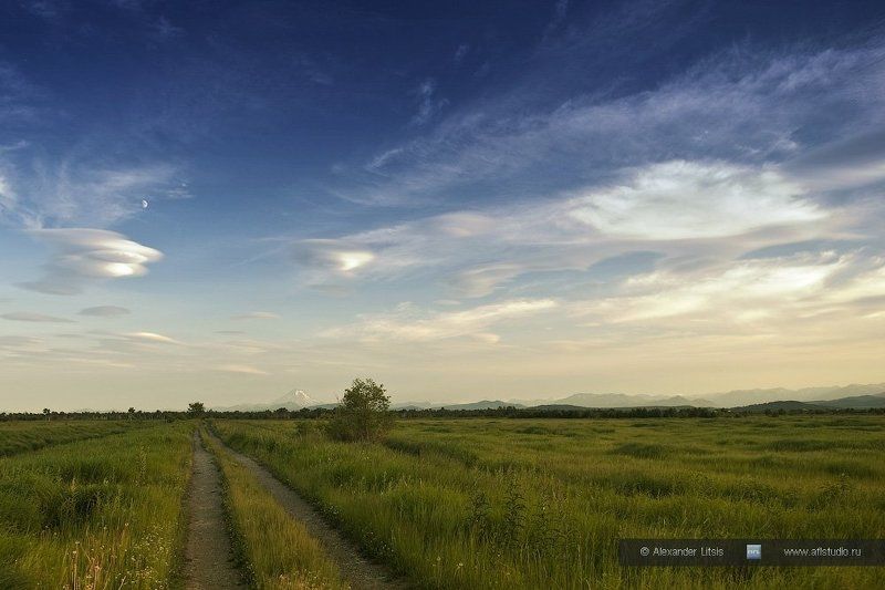дорога, луг, горы, камчатка Луговая дорога фото превью