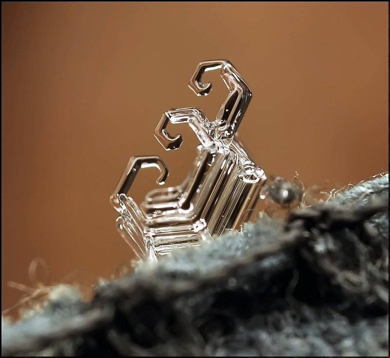 , Андрей Осокин