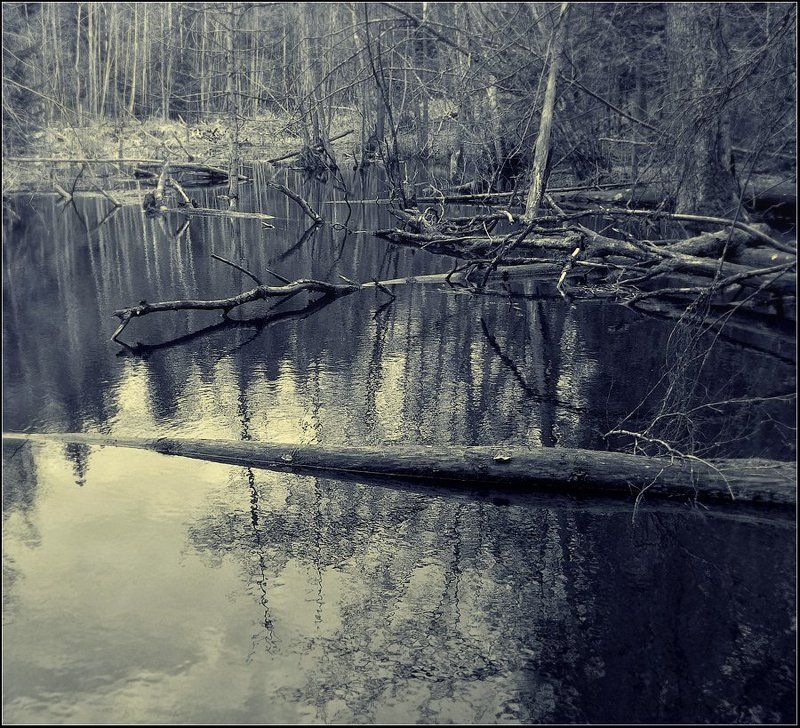 Тающий мир... фото превью