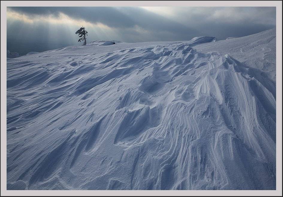 , Сергей Захаров.