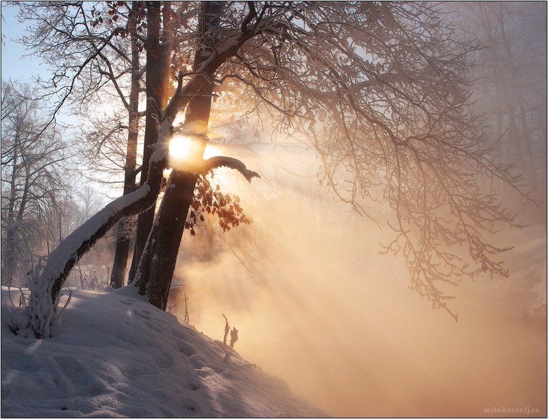 Радость утреннего солнца фото превью