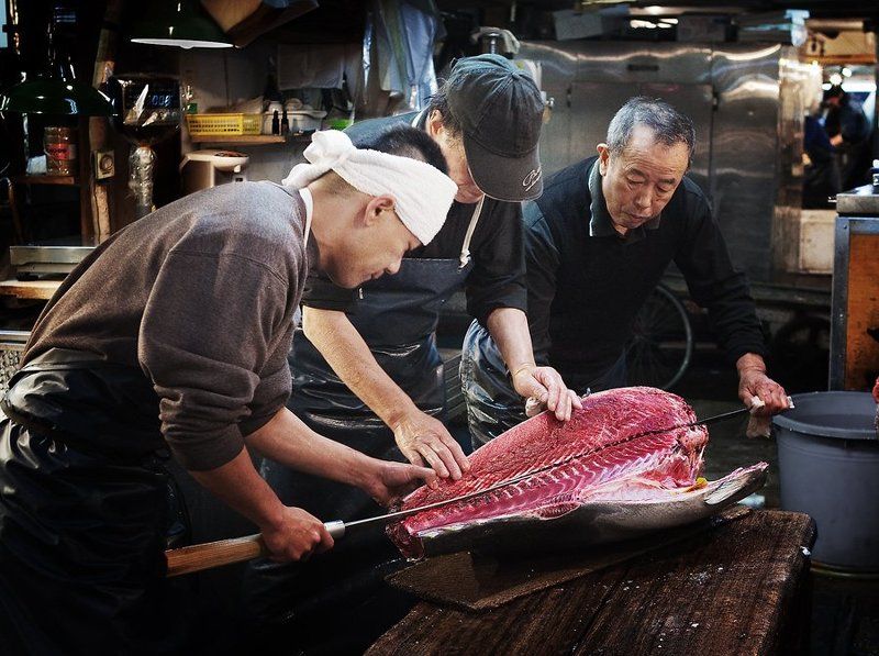 Разделка тунца фото превью