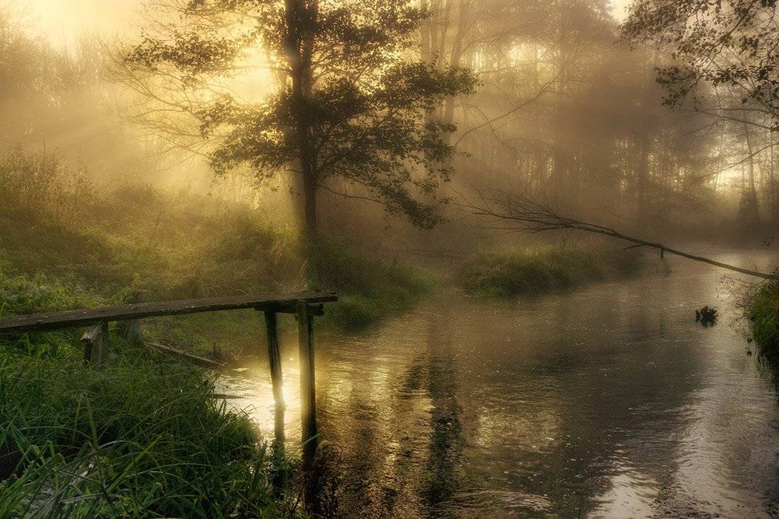 , Rimantas Bikulcius