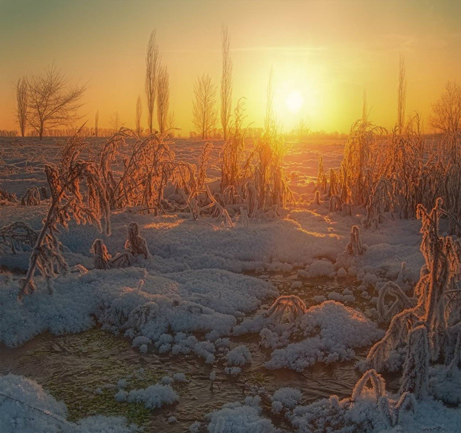 , Сергей Иванов