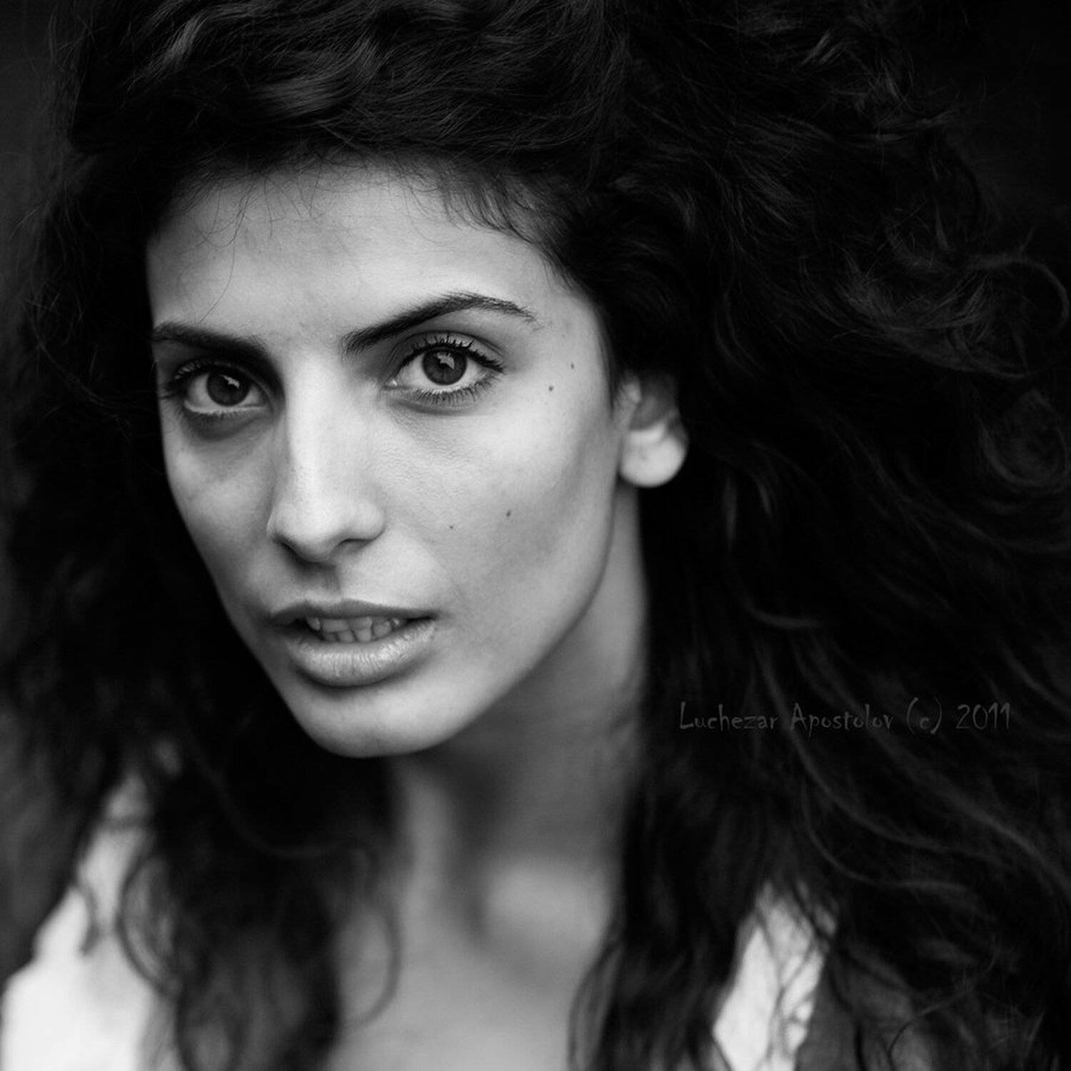 , luchezar apostolov