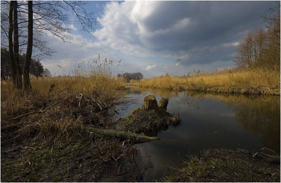 , Николай Шахманцир