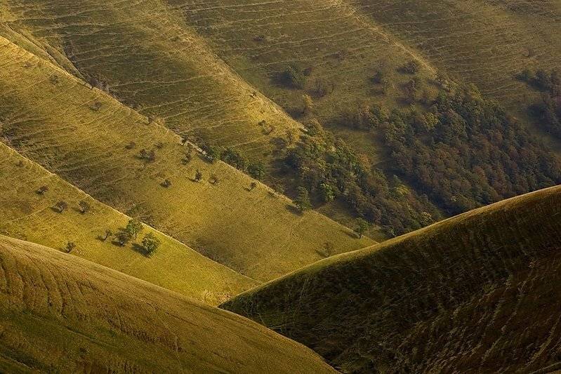 карпаты, Тарас