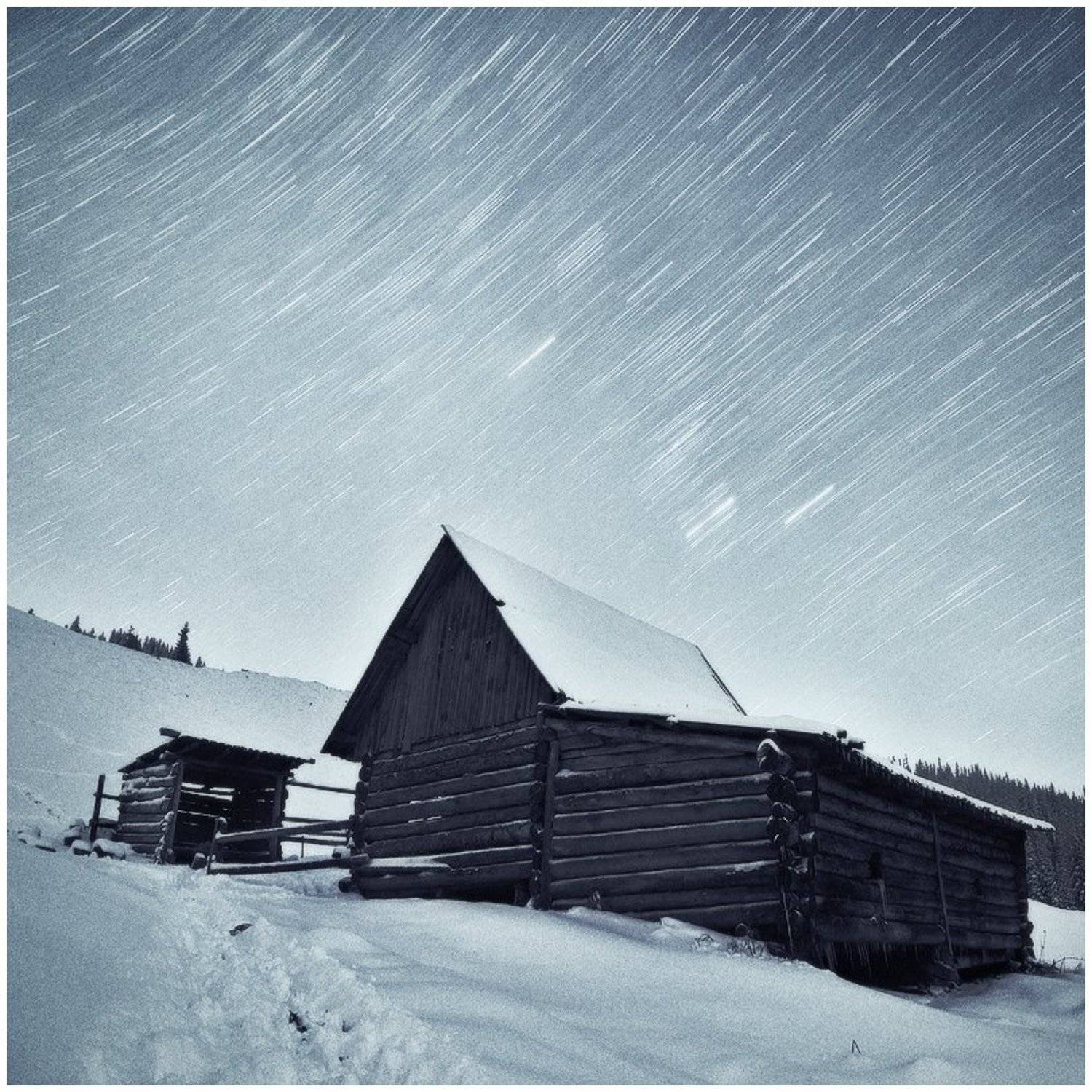 , Денис Кривой