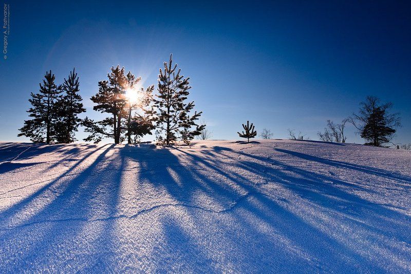 тени, полдень, зима, февраль, мороз, холод, снег, деревья, карелия, лехмалахти Полуденные тени фото превью