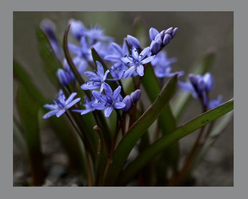 Пробуждение... фото превью