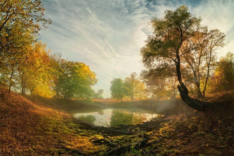 Осенним утром фото превью