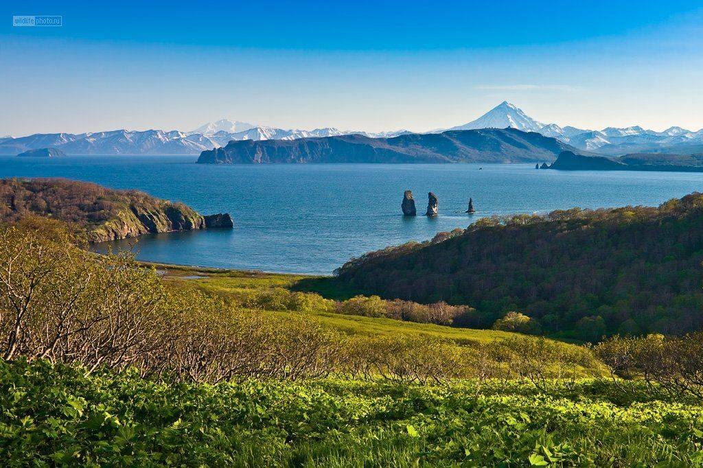 камчатка, 3 брата, авачинская бухта, Сергей Краснощёков