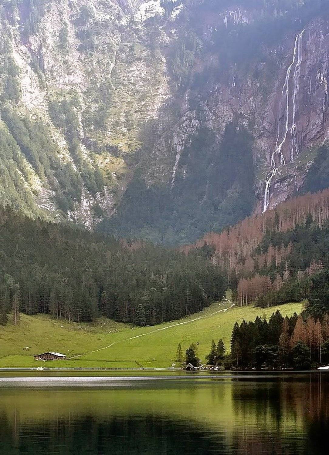 , Vasylevskyy Vitaliy