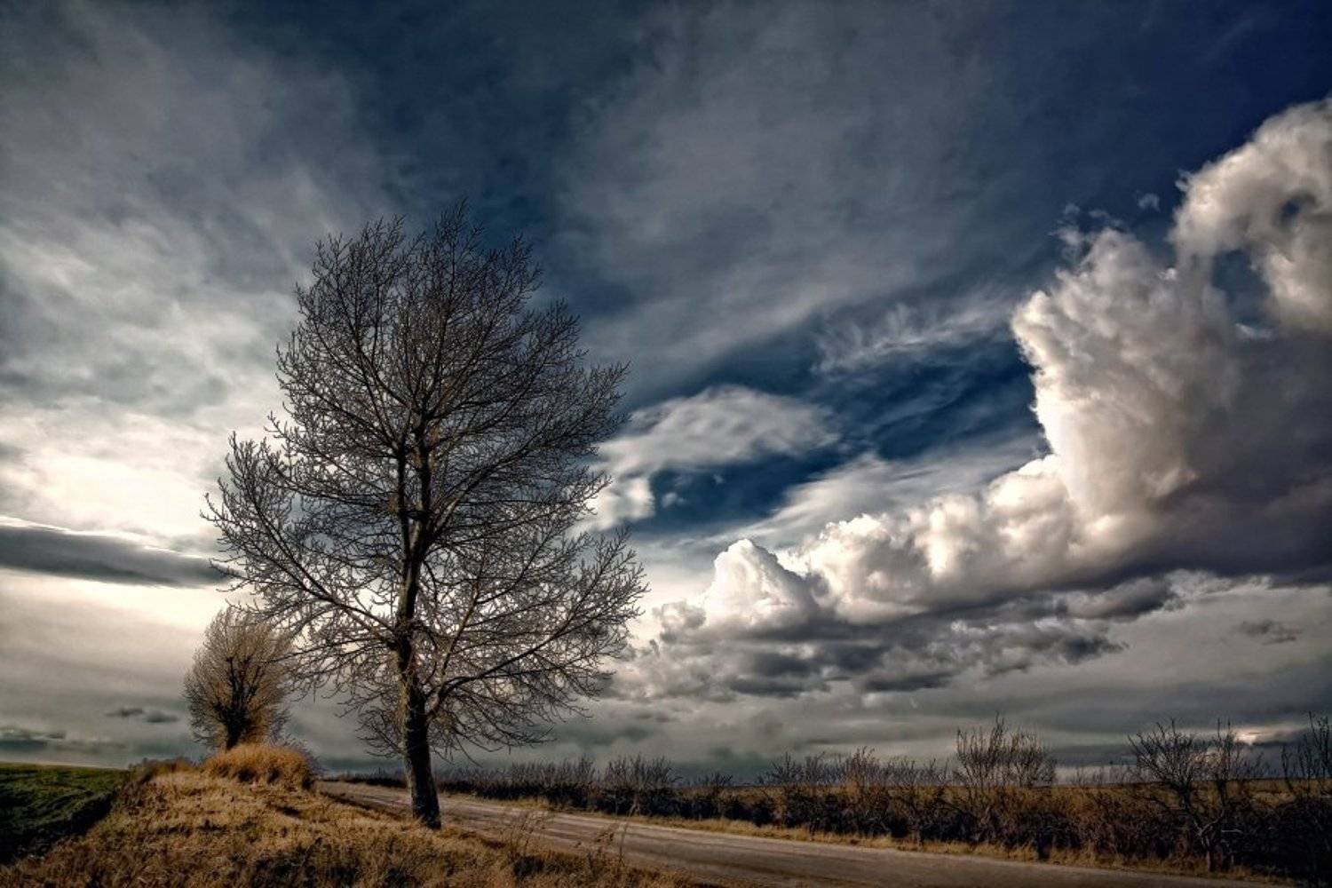 , Sergey Braga