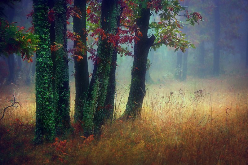 Autumn