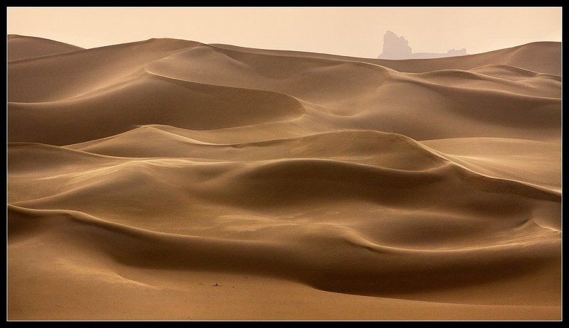 африка, сахара, ливия, песок, дюны Ветер перемен...Сахара... фото превью