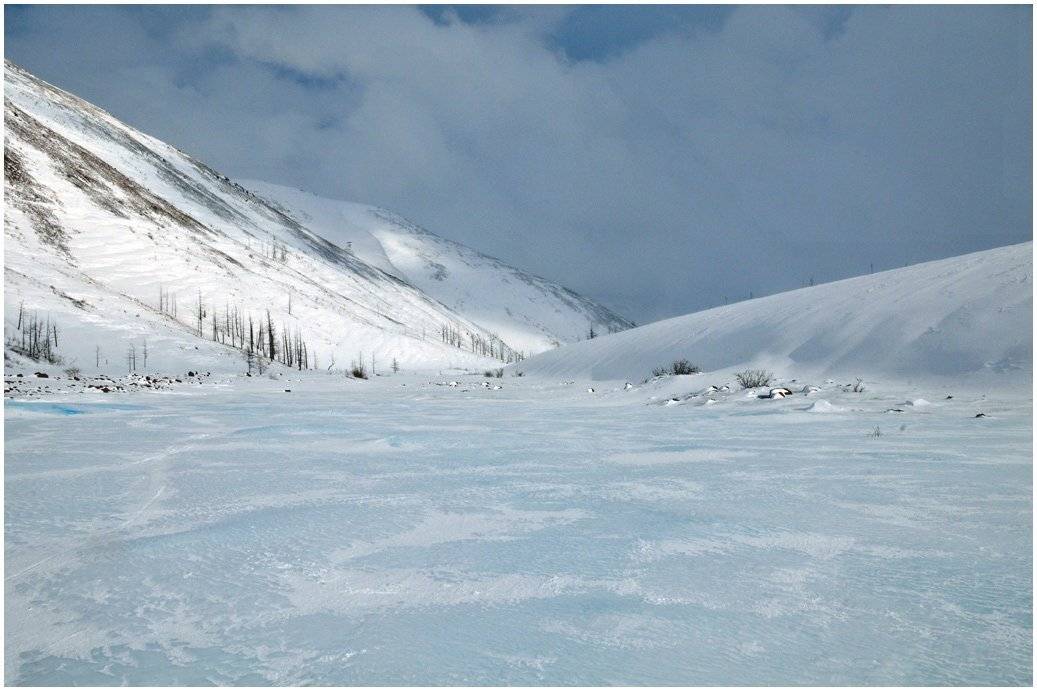 таймыр, Vladimir