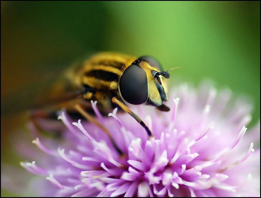 , Андрей Осокин