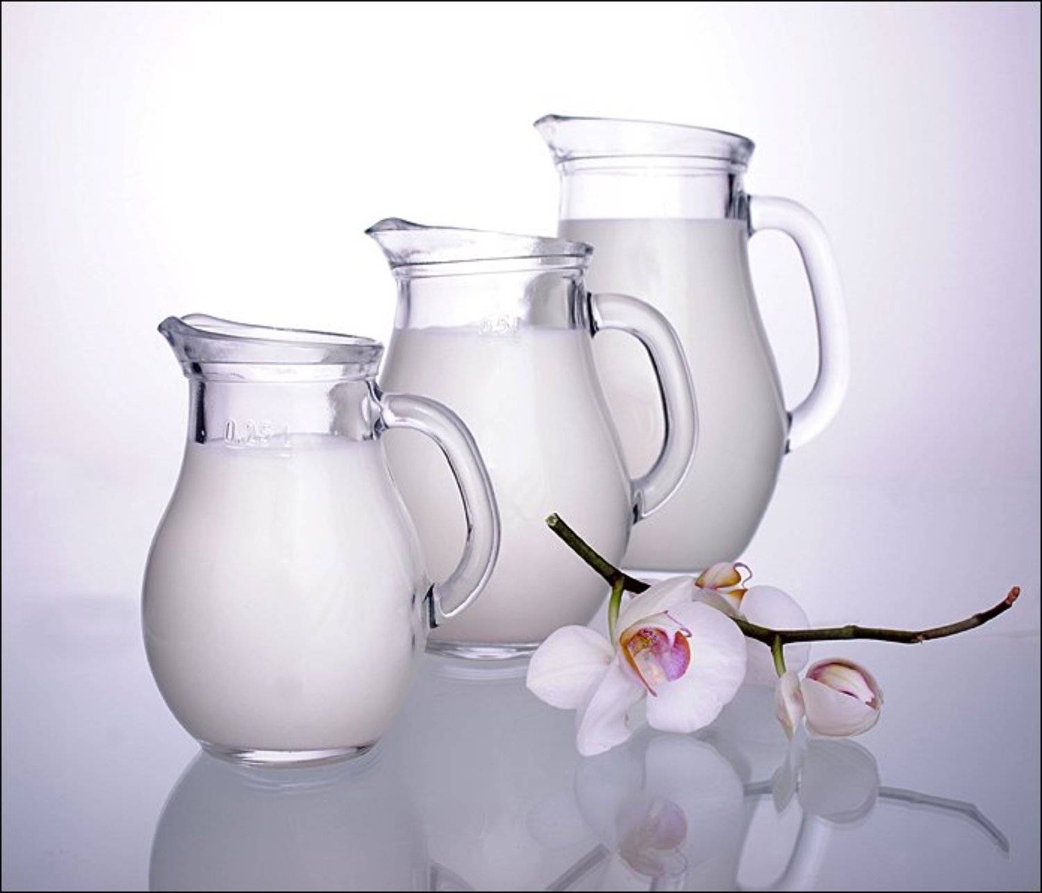 funtry, кувшины, молоко, орхидея, посуда, предметная съемка, фотонатюрморт, цветок, цветы, funtry