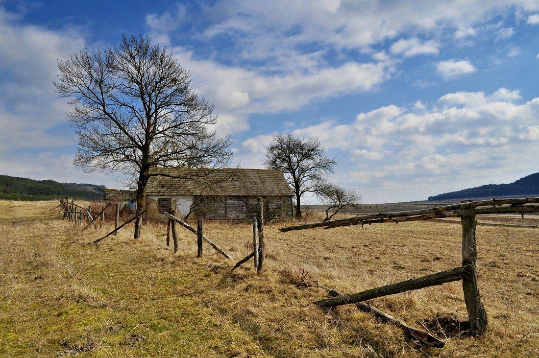 , Володимир Карчевський