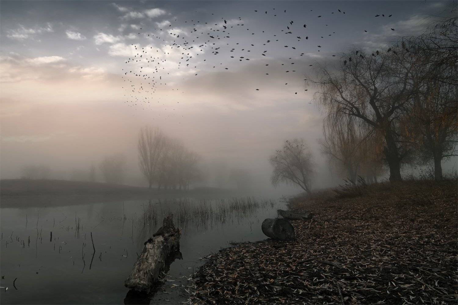 , Сергей Иванов