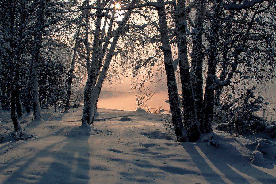 , Николай Морский