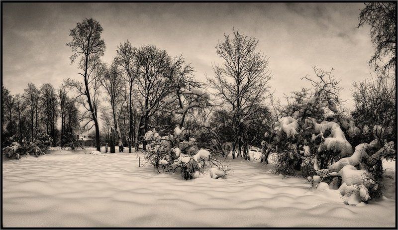 Зимний несолнечный пейзаж фото превью
