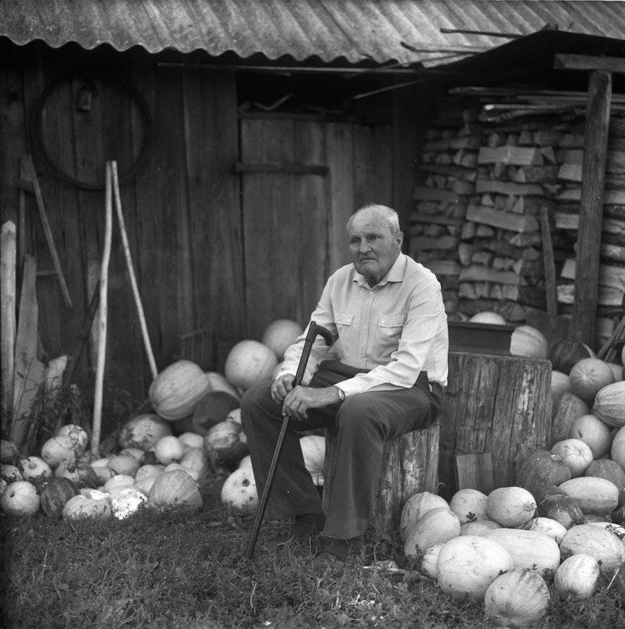 , Юрий Наумович