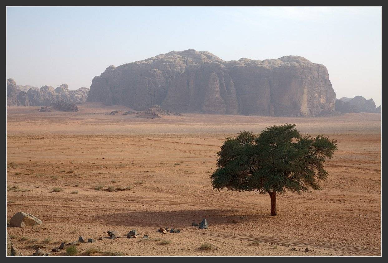 иордания, пустыня, вади рам, wadi rum, Сергей Ершов