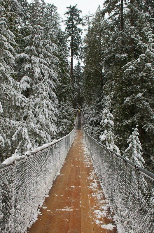 ванкувер., национальный, парк, капилан Let\'s Go фото превью