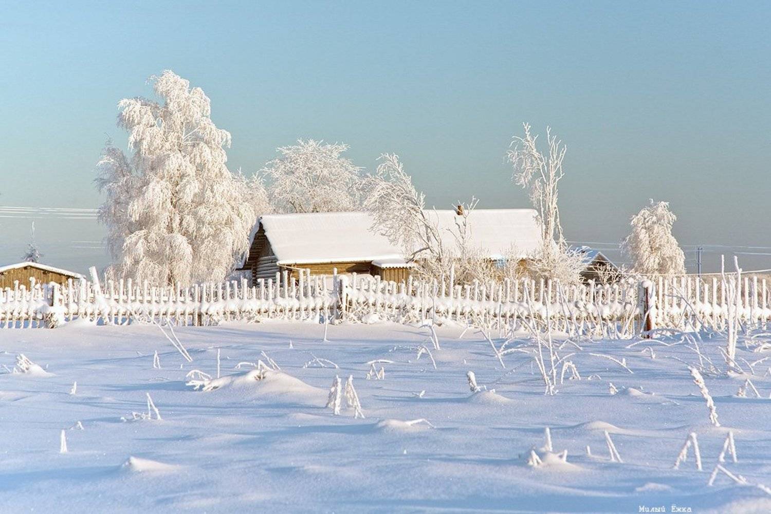 зимняя, сказка, Милый Ёжка