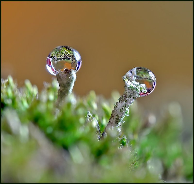 Параллельные миры. фото превью