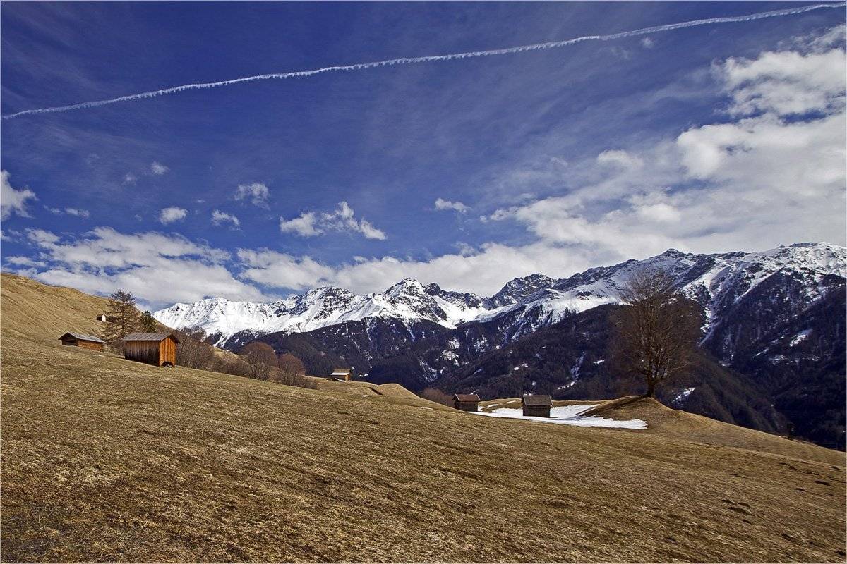 , СПИРИДОНОВ НИКОЛАЙ