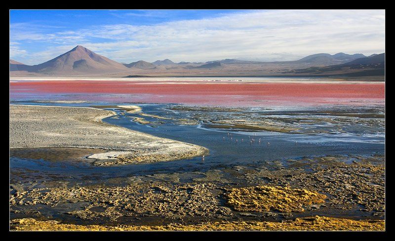 боливия, лагуна, колорадо, южная, америка, альтиплано Лагуна Колорадо. фото превью