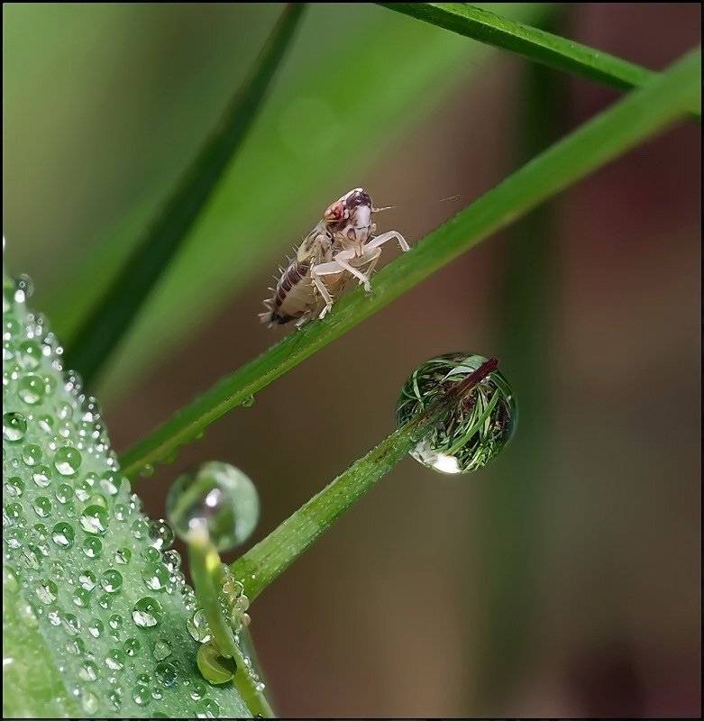 , Андрей Осокин