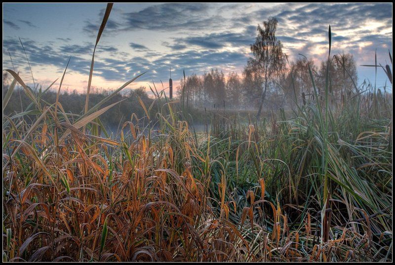 Отшумела осень золотая 2 фото превью