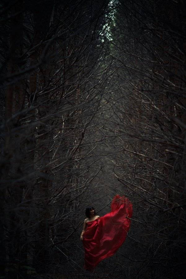 , Камардин Алексей Иванович