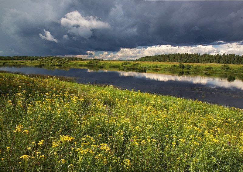 Портфолио - милости прошу фото превью