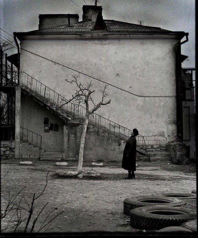 ЧУДО-дерево фото превью