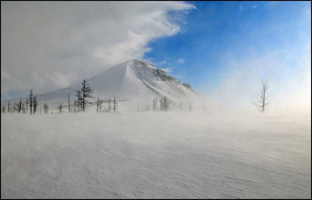 таймыр, Vladimir