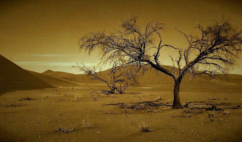 ушедшая жизнь (вариант) фото превью