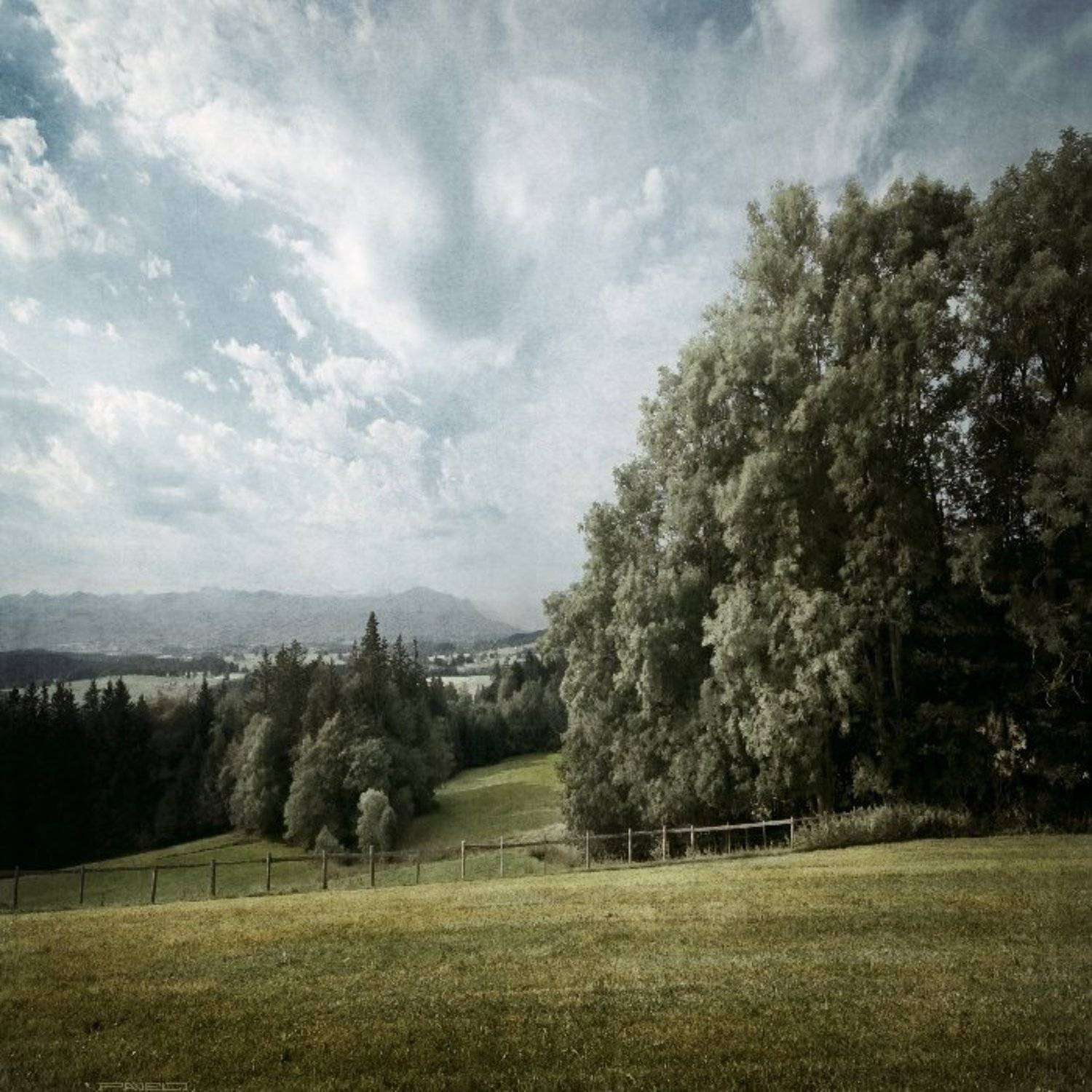 not, alone, Pavel Janzen