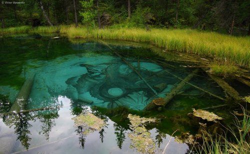 Логово водяного