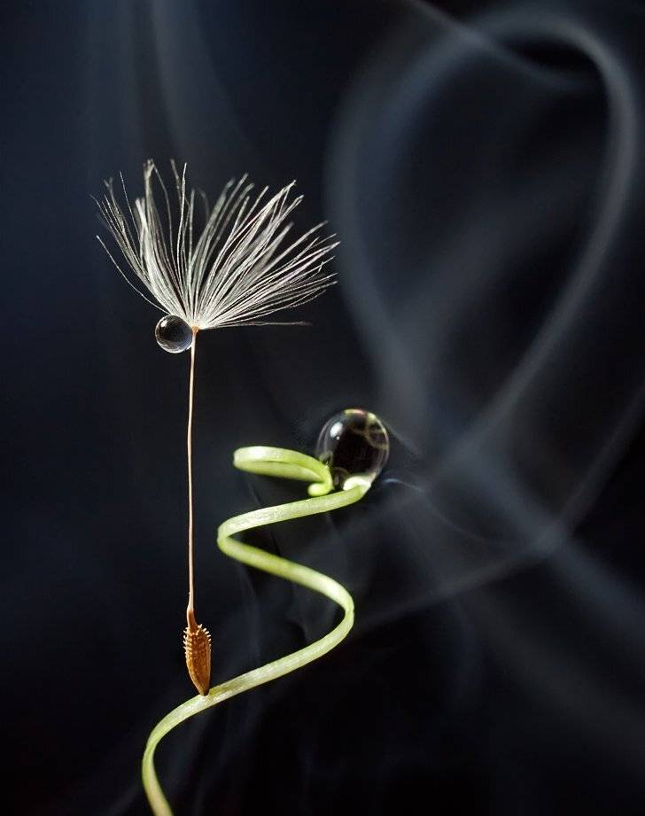 , Марина Брыдня