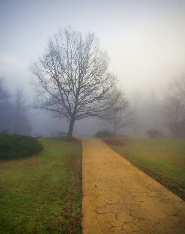 В тумане фото превью